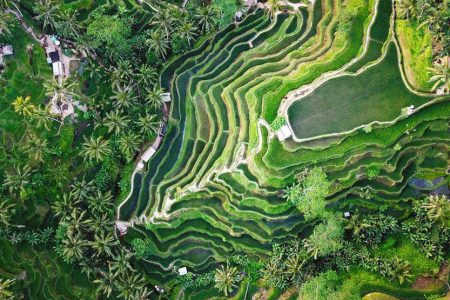 Bali Authentic Balinese Packages 3 Days 2 Nights Tours