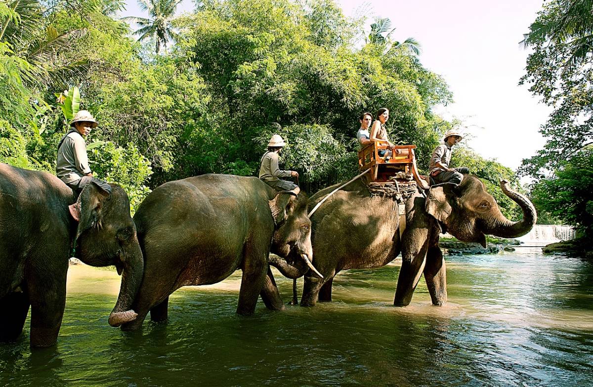 Bali Trip Elephant Ride Tours