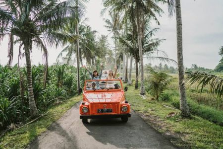 Bali Trip Kintamani Vulcano Vw Safari Tours